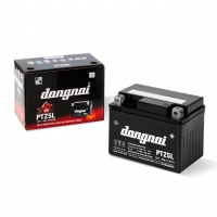 Bình ắc quy xe máy ĐỒNG NAI PTZ5L 12V 4AH